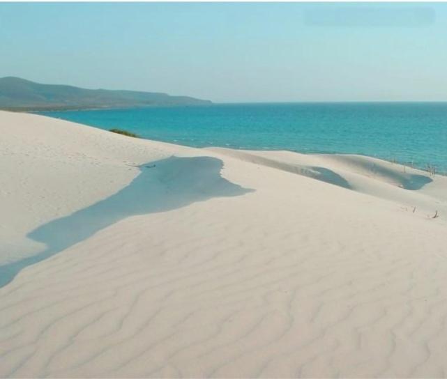 Villa panoramica immersa nel verde Porto Pino Esterno foto